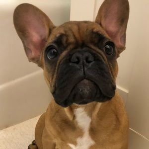 Meet your Posher, Kate